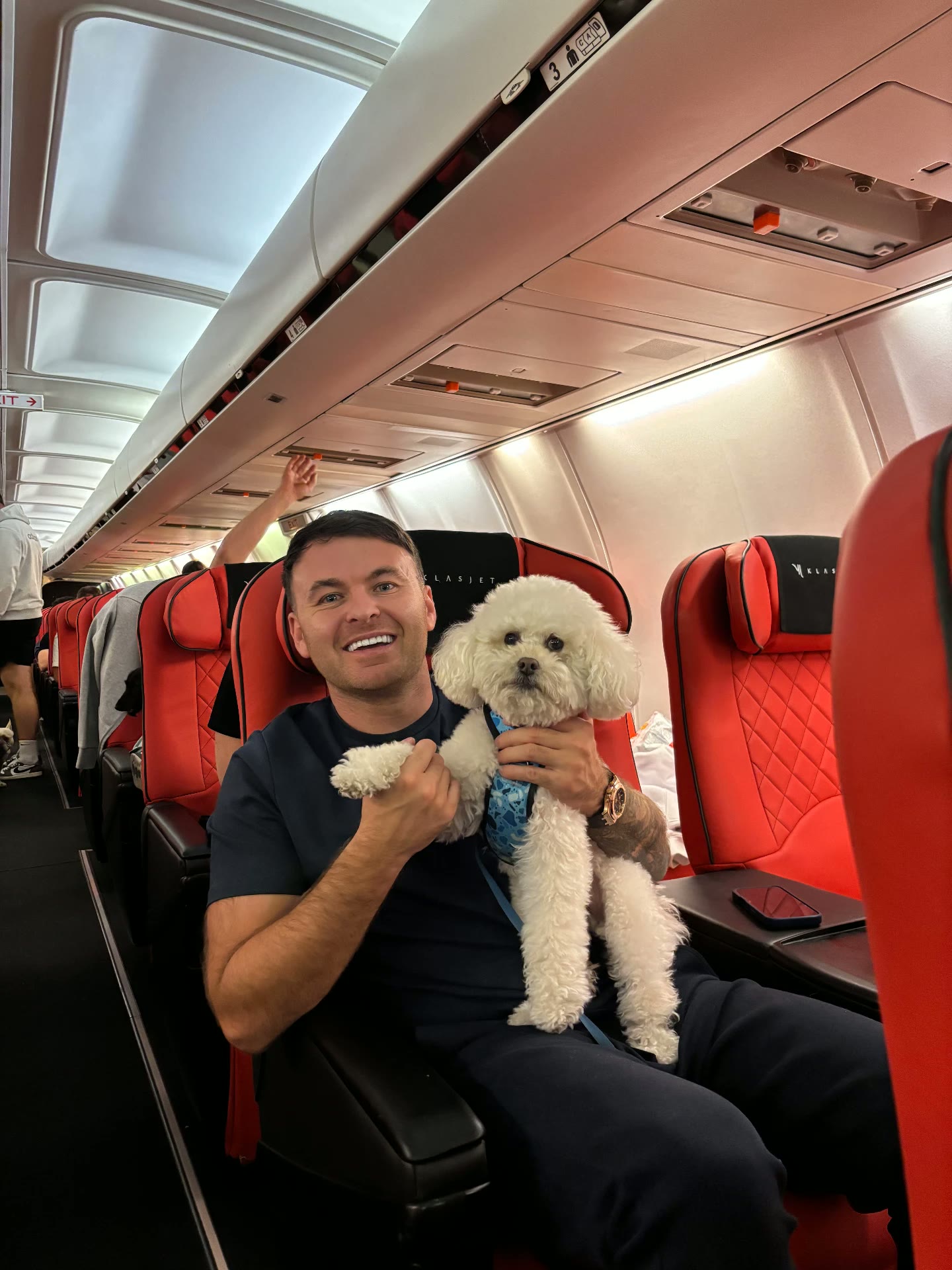 Passenger with a bichon in the cabin